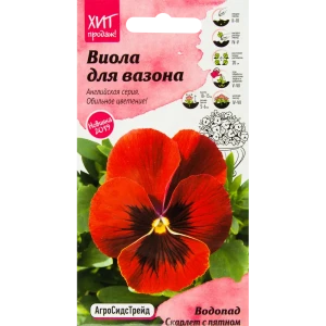 Виола «Водопад Скарлет» с пятном 5 шт.