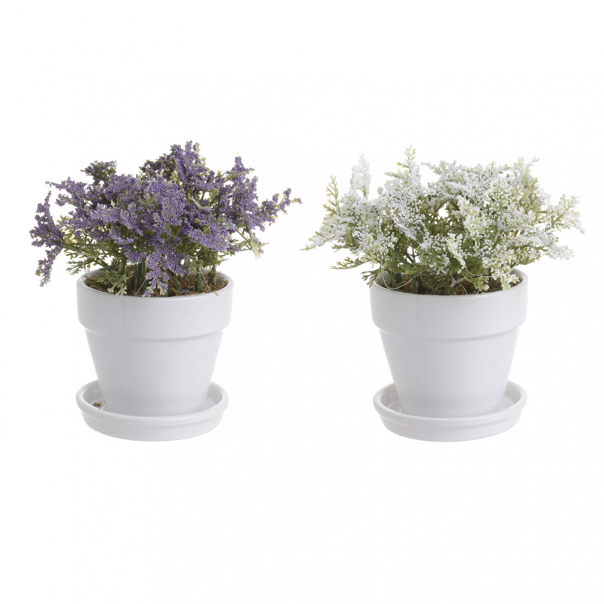 3885475.0182 искусственный цветок в кашпо, 2 дизайна TO4ROOMS 