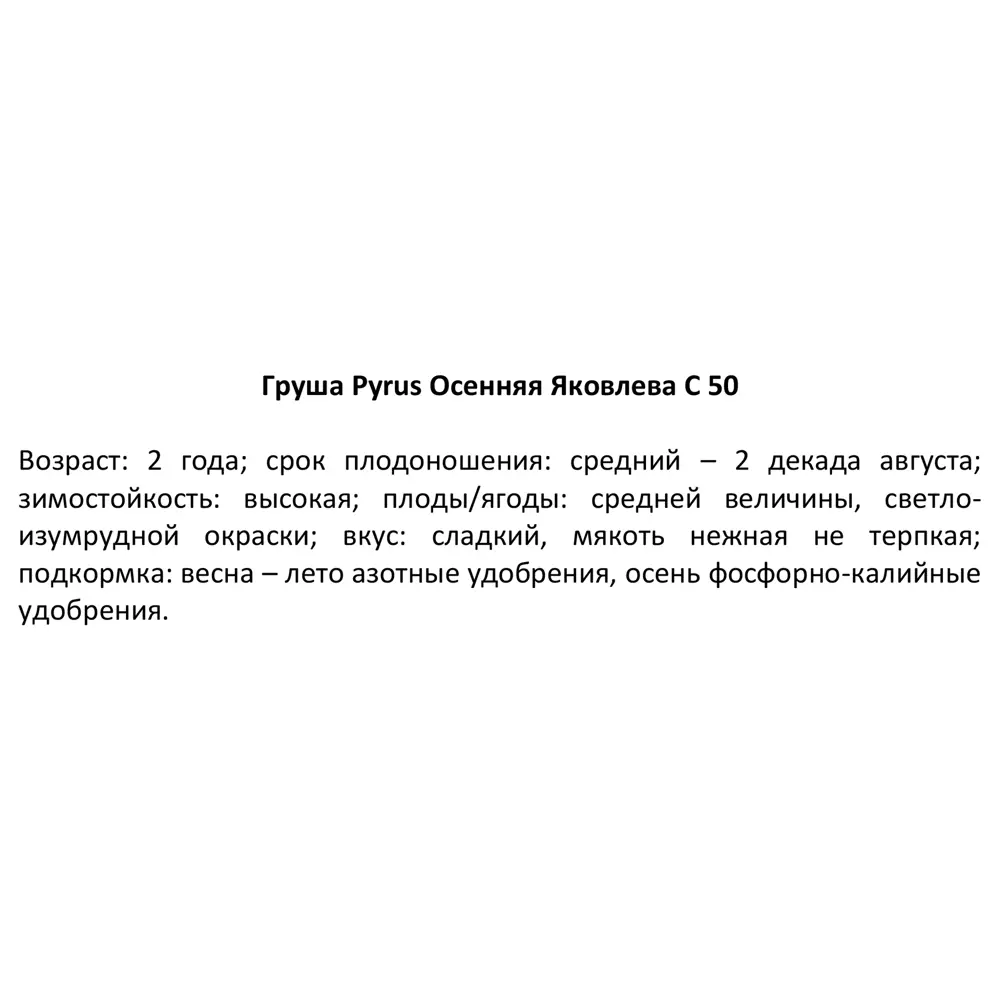 Груша Осенняя Яковлева ø22 h120 см PLANTMARKET STLM-2188529 - Вид №3