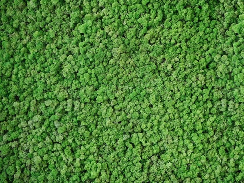 Architects Paper Обои с цифровой печатью Ap digital iv 108835 - Вид №1