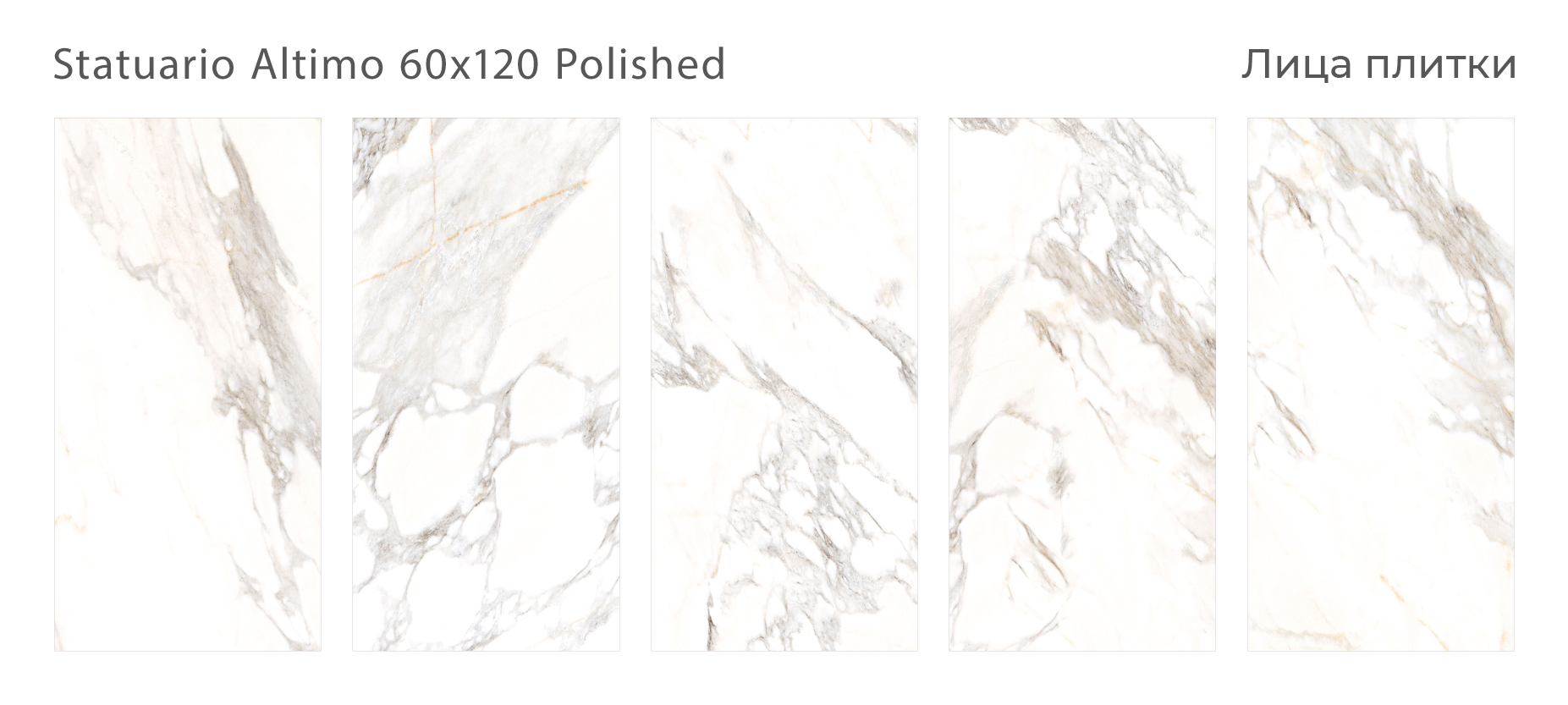 PALACIO: Элегантность мрамора в вашем интерьере STP-ST508 INCOLOR - Вид №2