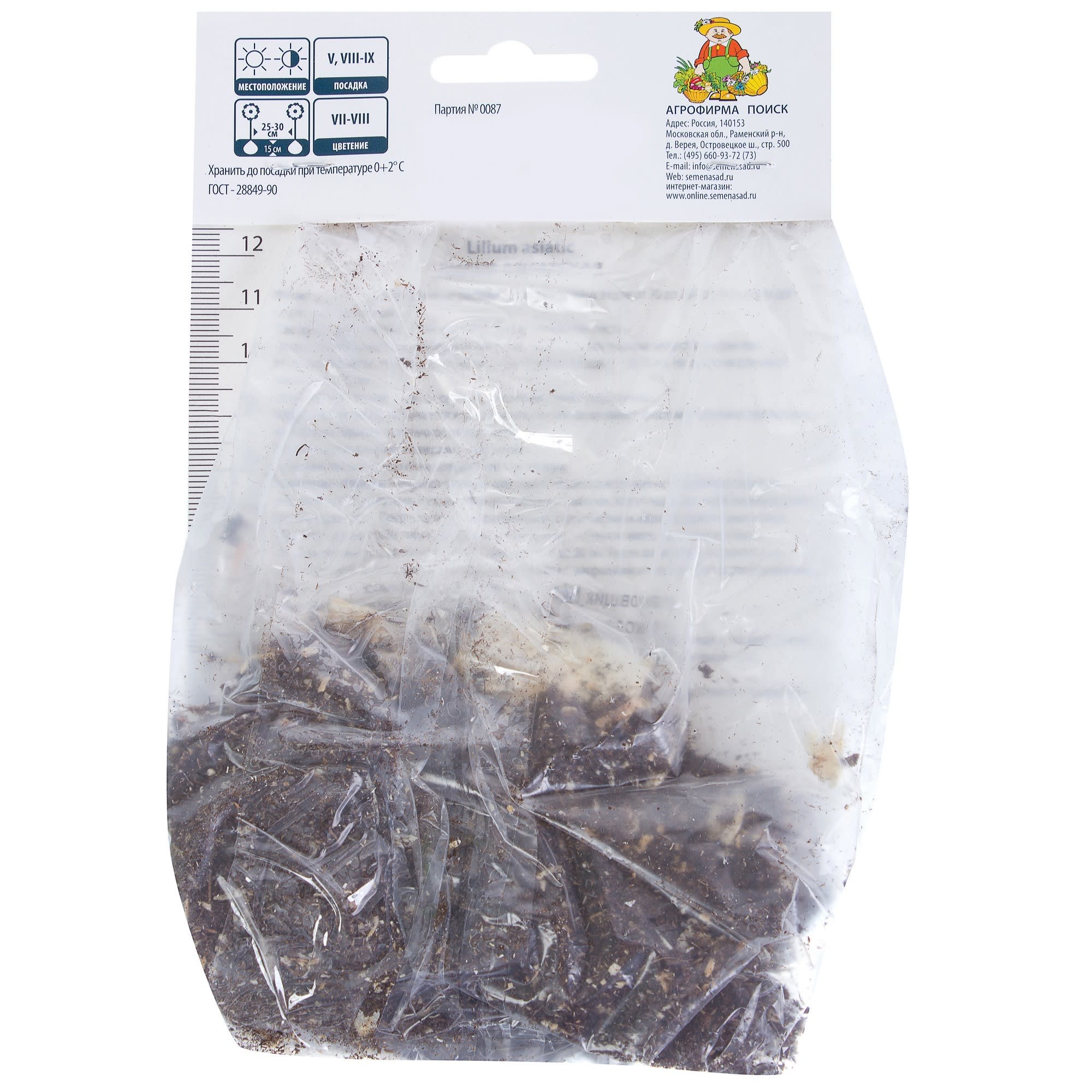 81945472 Лилия азиатская «Йети» Santreyd  - Вид №1