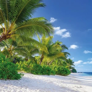 8-992-Reunion Фотообои Komar Vol.15 3.68х2.54 м