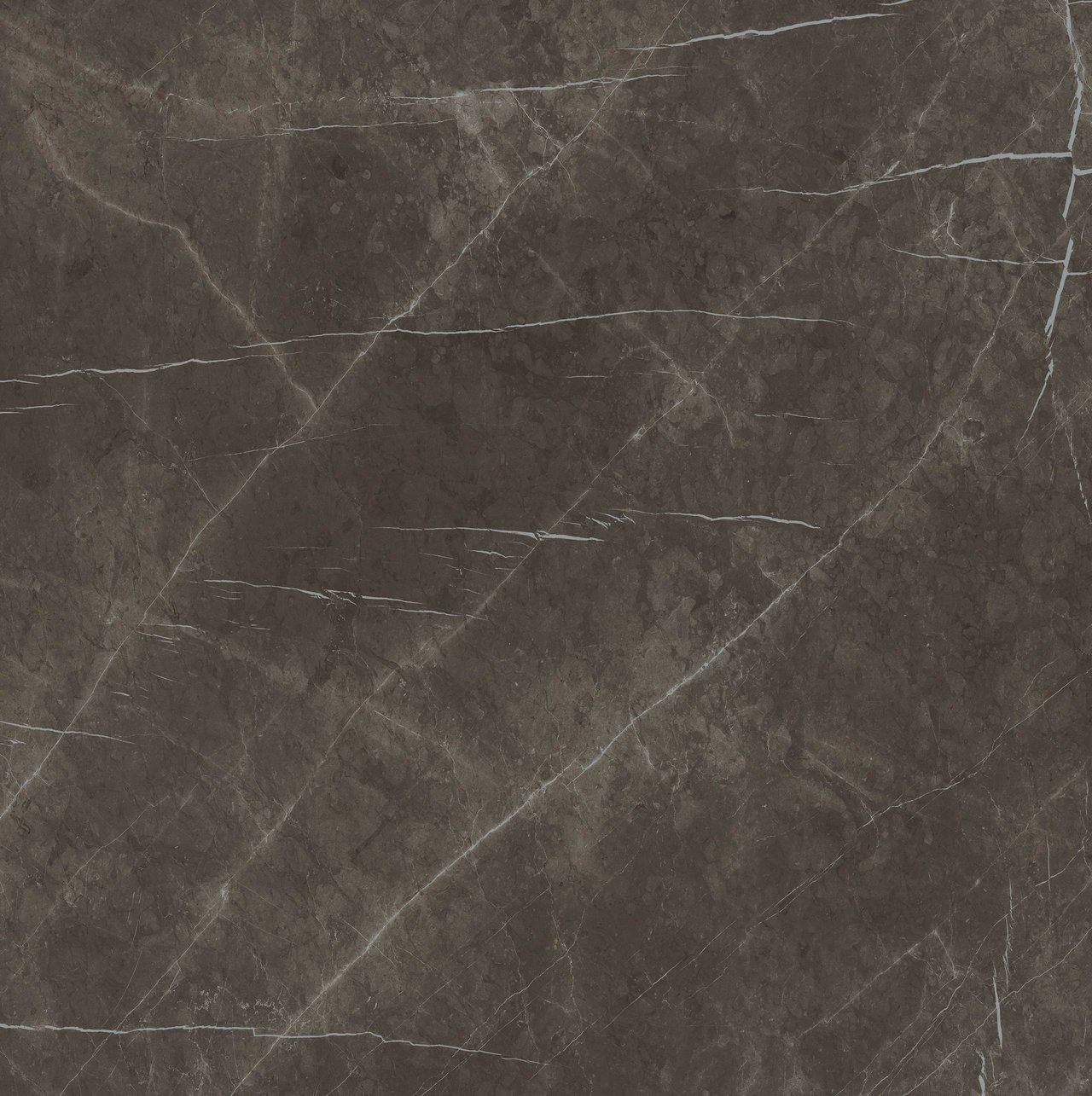 Пол / керамогранит с мраморным эффектом Fiandre Marmi Maximum ARCH-00145872 - Вид №14