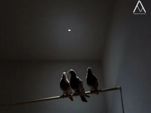 DAVIDE GROPPI Встраиваемый светодиодный точечный светильник Nulla