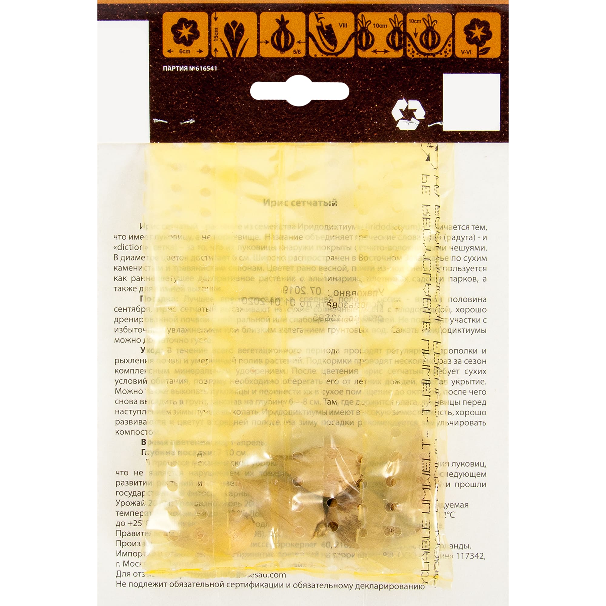 17977272 Ирис сетчатый Santreyd  - Вид №1