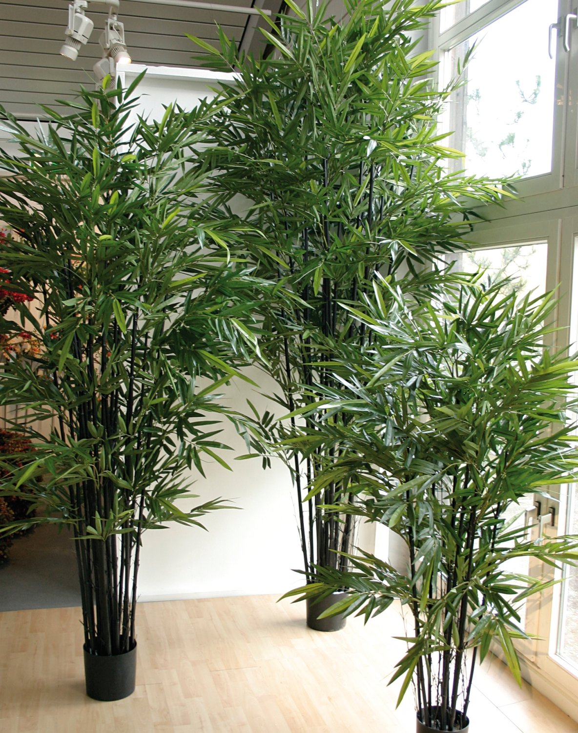 5694 883 a3 Бамбук искусственный, в горшке, 210 см, зеленый H-andreas  - Вид №2