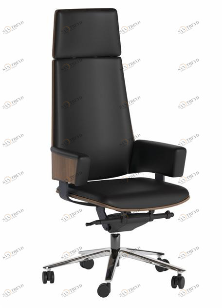 Ersa Кожаное кресло для руководителя с регулируемой высотой и подлокотниками sun-id-1469909