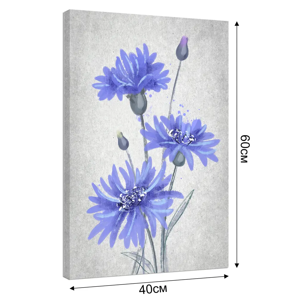 Картина на холсте Васильки 40x60 см Постер-лайн STLM-2208384 - Вид №2