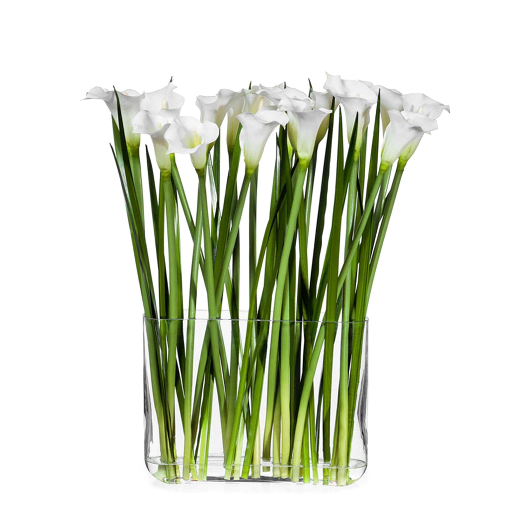 2000983190130 Композиция Каллы белые SERAX 