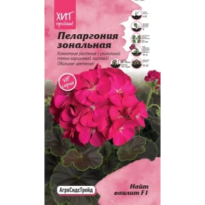 Семена цветов Агросидстрейд пеларгония зональная Найт Ваилит F1