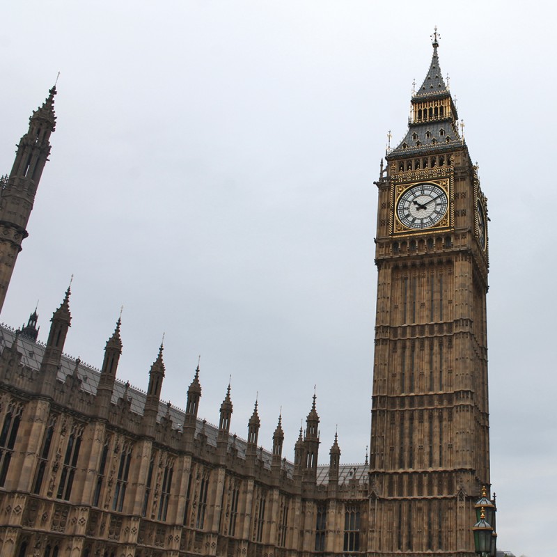 1233/CX38 Картина 1233 Adriani e Rossi 