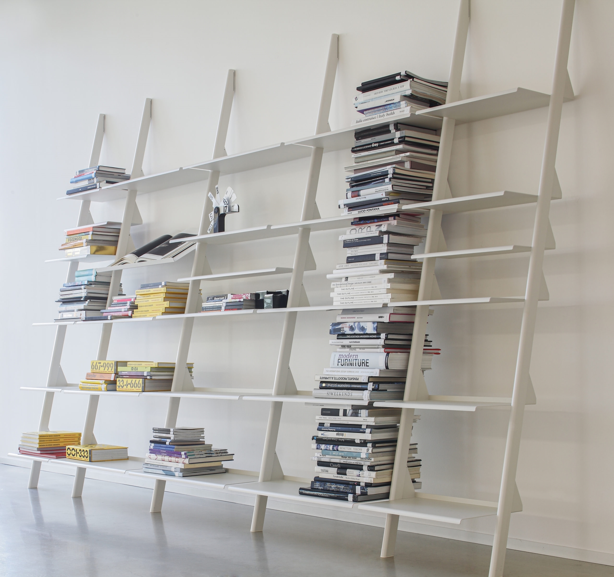 Тайк - Дикая группа Magis sun-id-1328971 - Вид №5