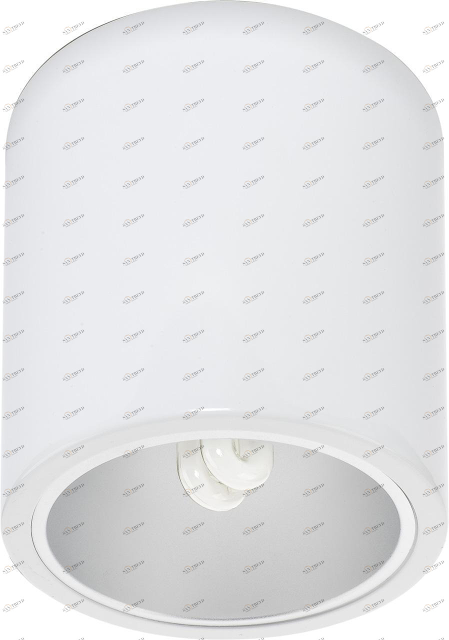 Потолочный светильник Nowodvorski Downlight 4866 NOWODVORSKI КОЛОННА, ЭЛИТНЫЕ 201881 Белый 