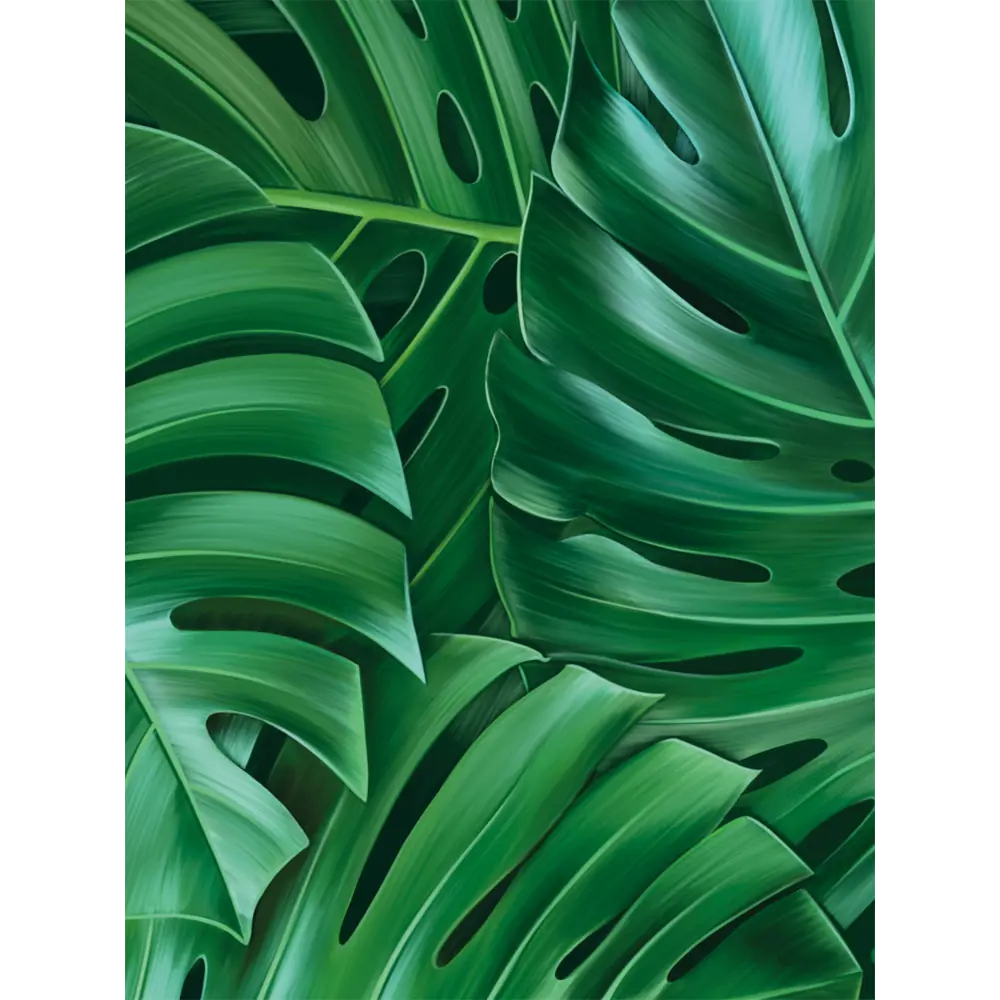 Картина модульная Монстера 45x60 см 2 шт POSTERMARKET STLM-2119514 - Вид №1