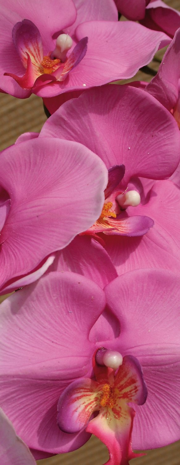 2581 420 a3 Искусственная орхидея Phalaenopsis, 103 см, real touch, вишня H-andreas 