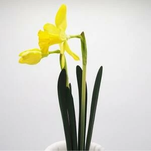 Букет желтых нарциссов искусственных 50 см