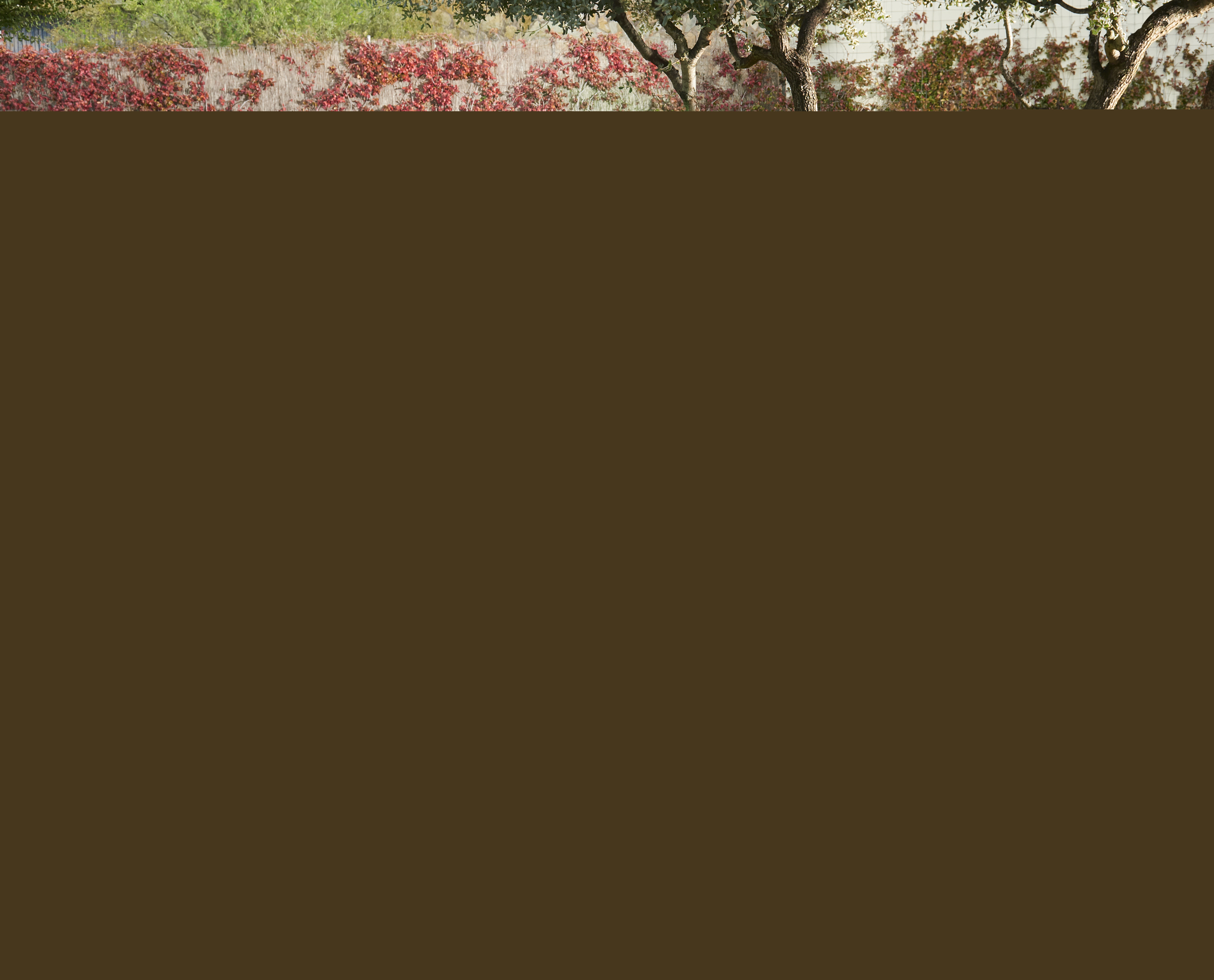 NATERIAL Odyssea - Садовый комплект с 7 местами и стеклянным столом 87082121 STLM-0073139 - Вид №13