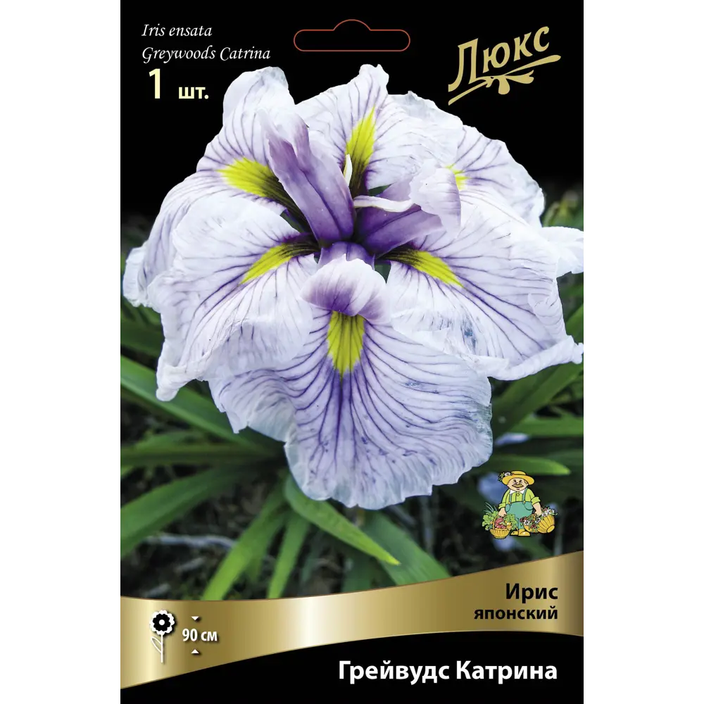 Ирис японский Грейвудс Катрина, 88659083 STLM-2005543 ПОИСК 