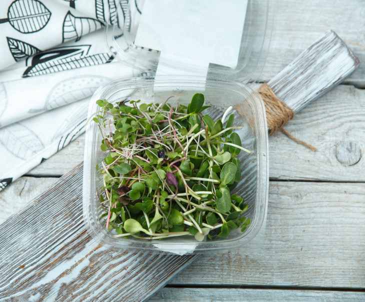 4126 Микрозелень Микс салатный Вкусляндия  - Вид №2