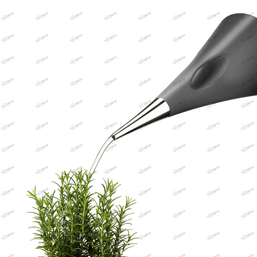 Лейка aquastar 2 л серая EVA SOLO  254626 Графит 