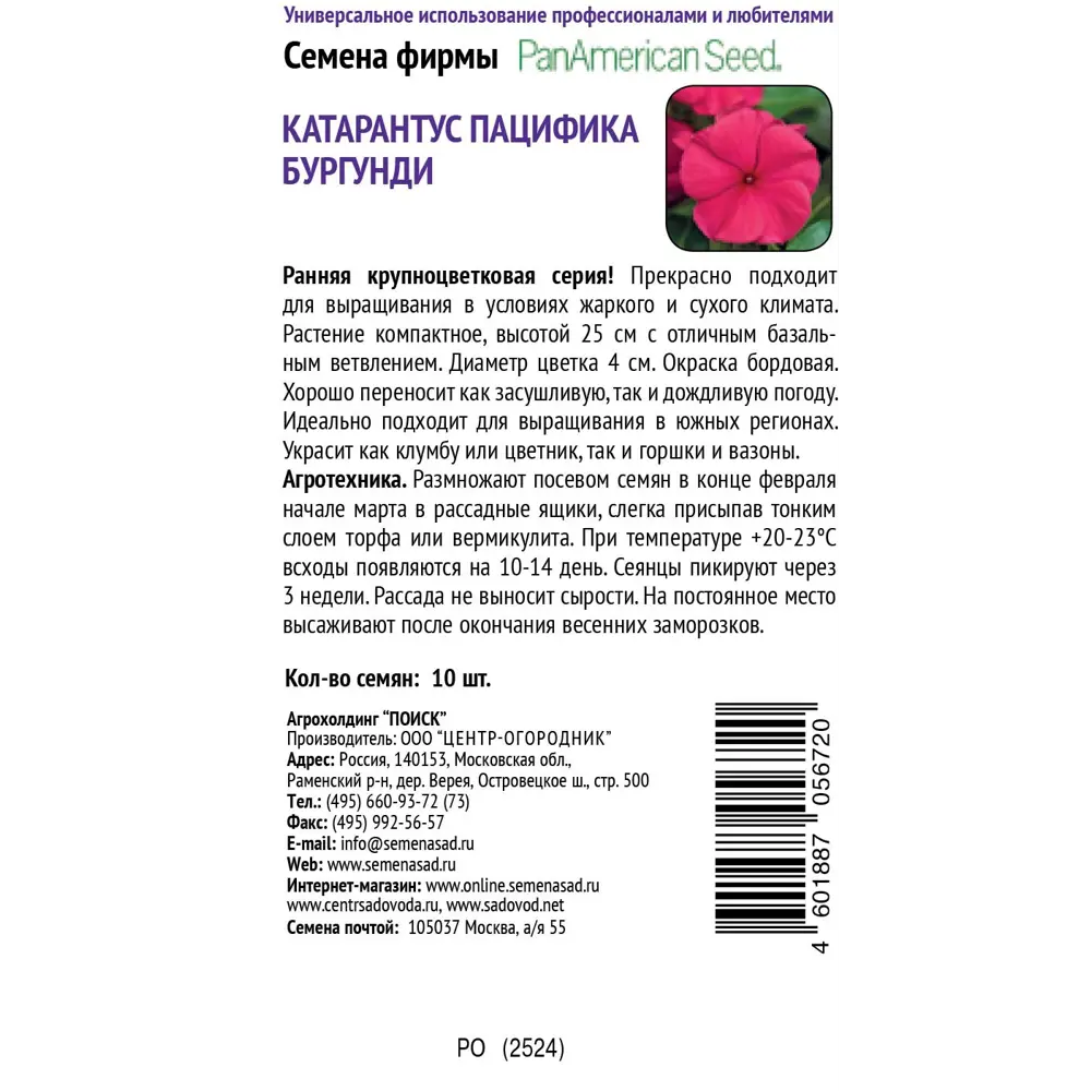 Бегония ПОИСК Инфинити Еллоу - солнечные цветы для сада и балкона 89401224 STLM-1579188 - Вид №1
