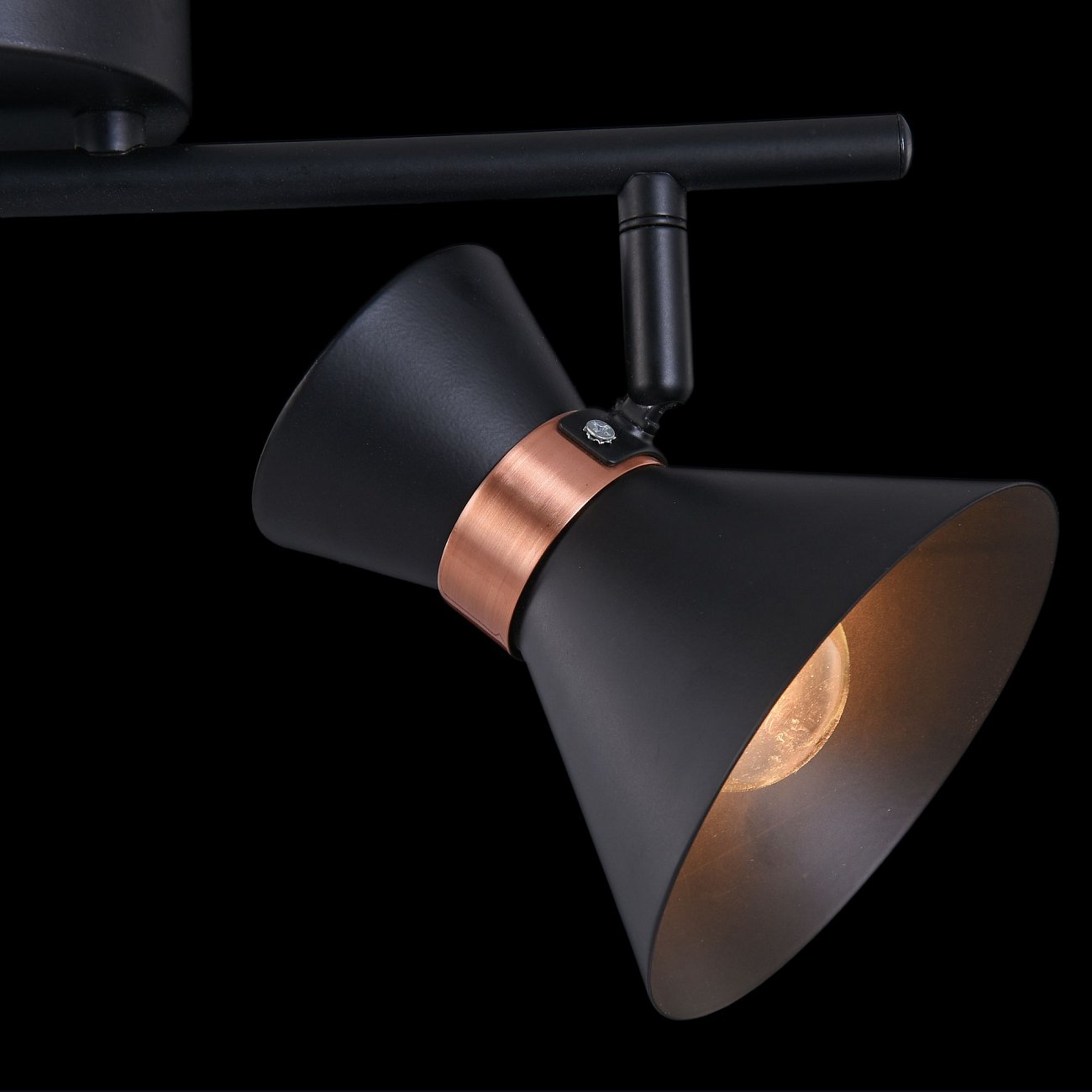 Спот настенный черный Freya Izzy FR4273-CW-02-B FREYA LOFT 00-3957532 Черный - Вид №5