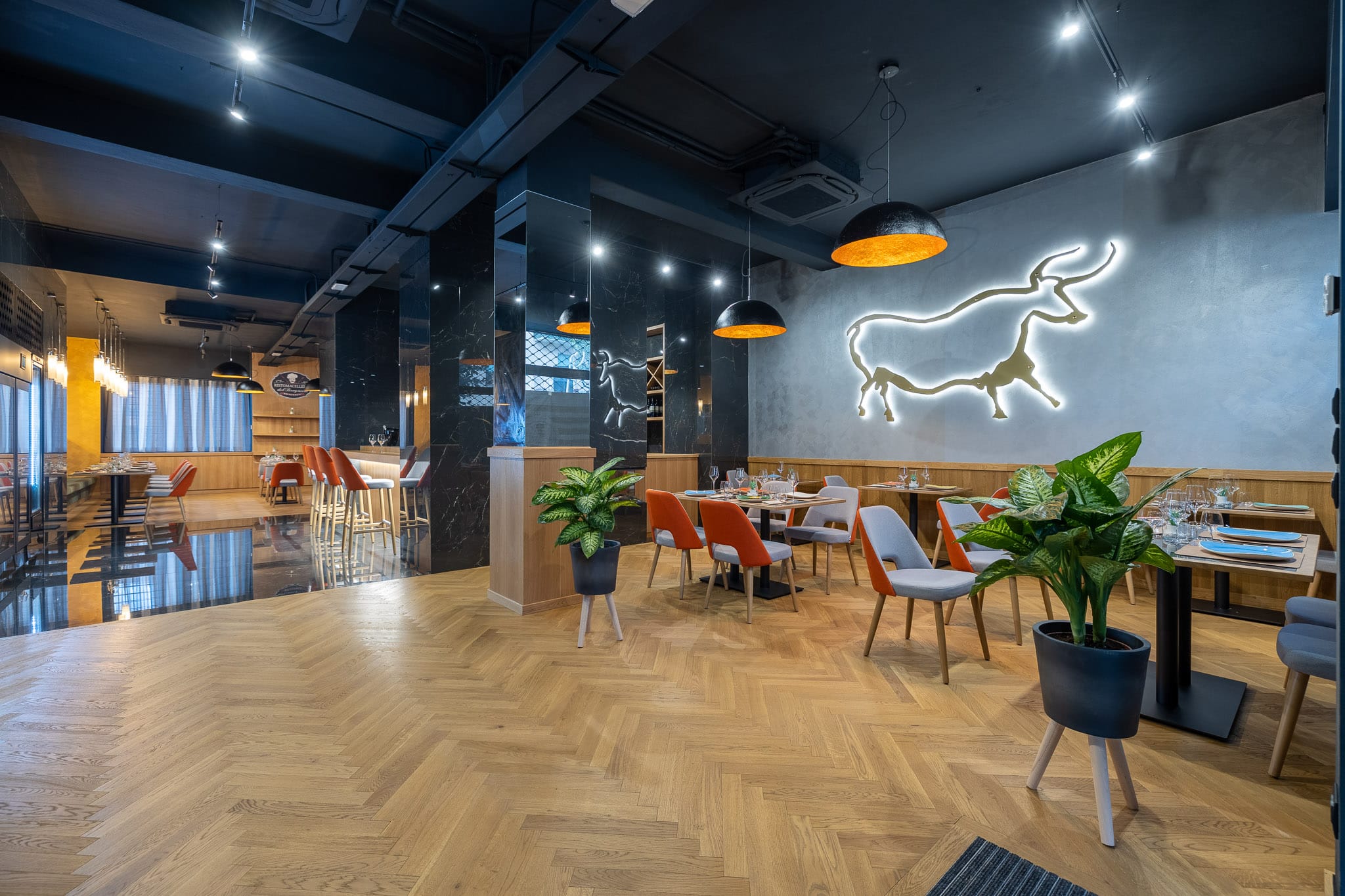 Мягкий стул из бука Sedex Trend ARCH-00141782 - Вид №2