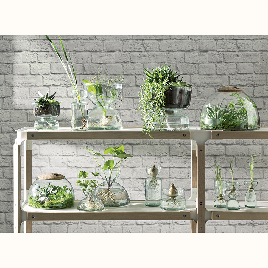 G1580-22-161 Флорариум canopy 22см LSA International  - Вид №1