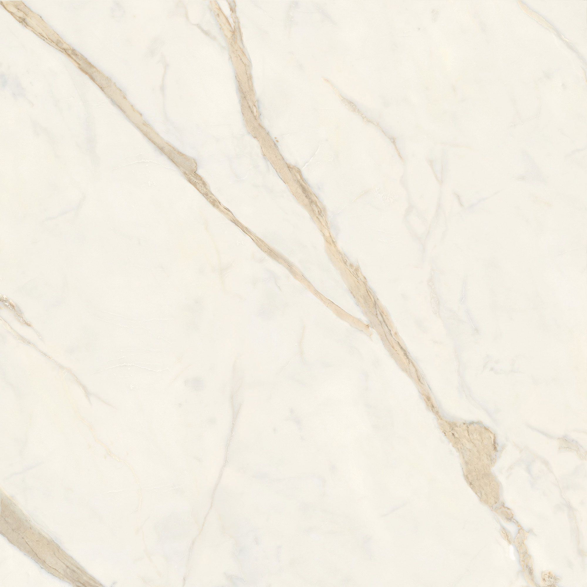 Пол / керамогранит с мраморным эффектом Italgraniti Marble Touch ARCH-00062183 - Вид №29