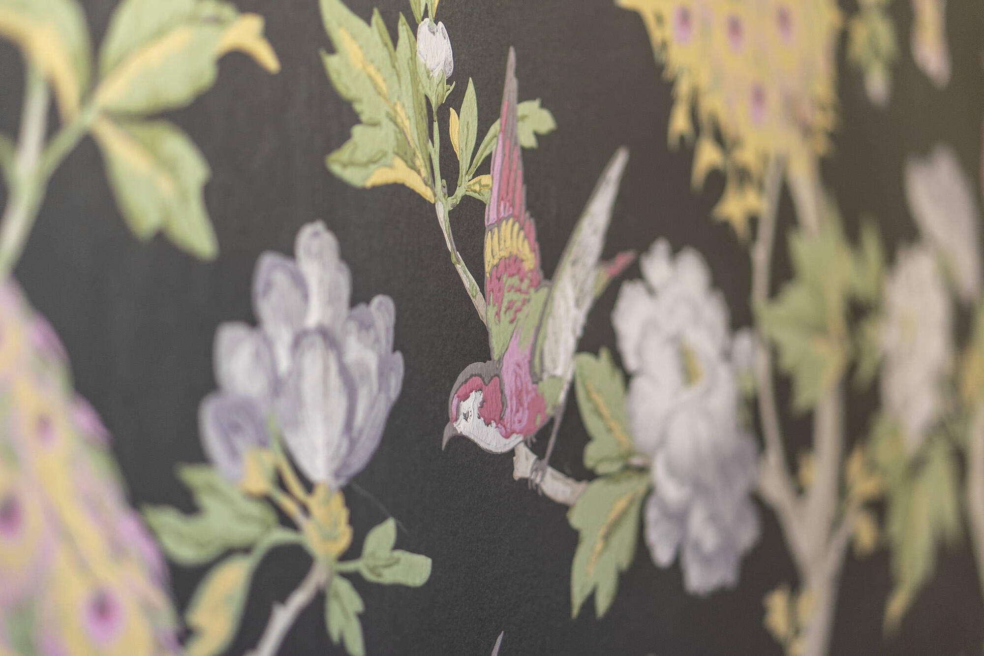 Traditional bathrooms Motivtapete Pavona Pavona - Little Greene  - Вид №8