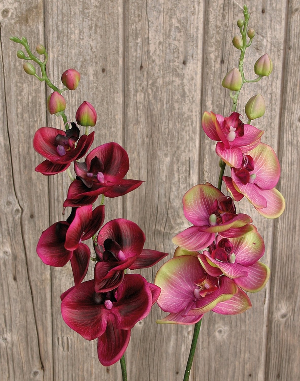 2398 208 a2 Искусственная орхидея Phalaenopsis, 92 см, real touch, фиолетово-зеленая H-andreas  - Вид №1