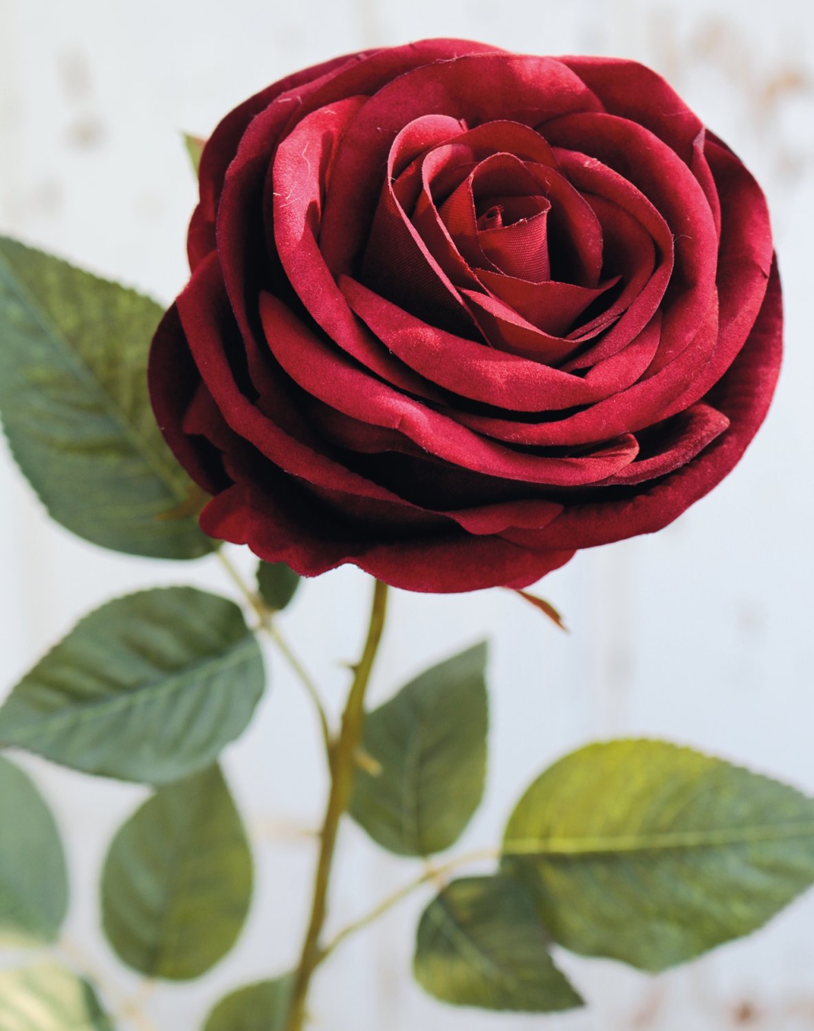 9817 442 a3 Искусственная роза, бархат, 90 см, бордовый H-andreas 