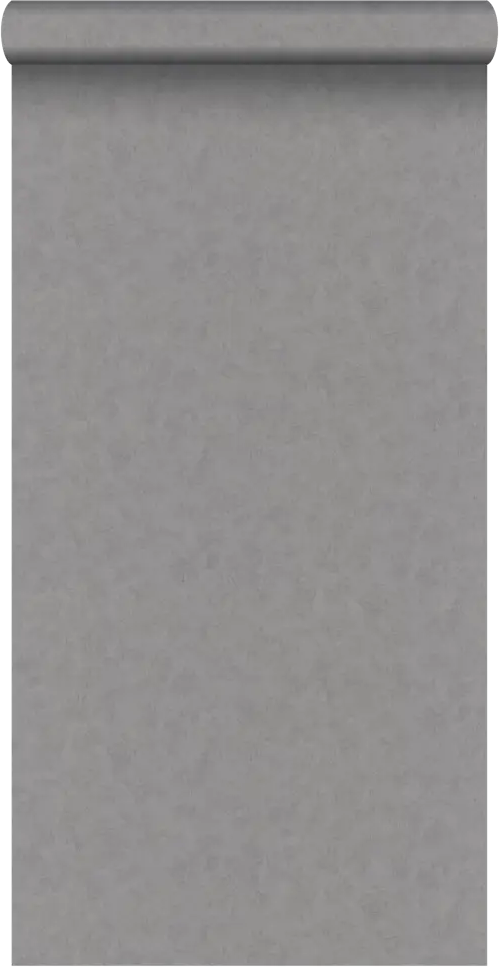 INSPIRE Art: Флизелиновые обои графит с текстурой камня 89341668