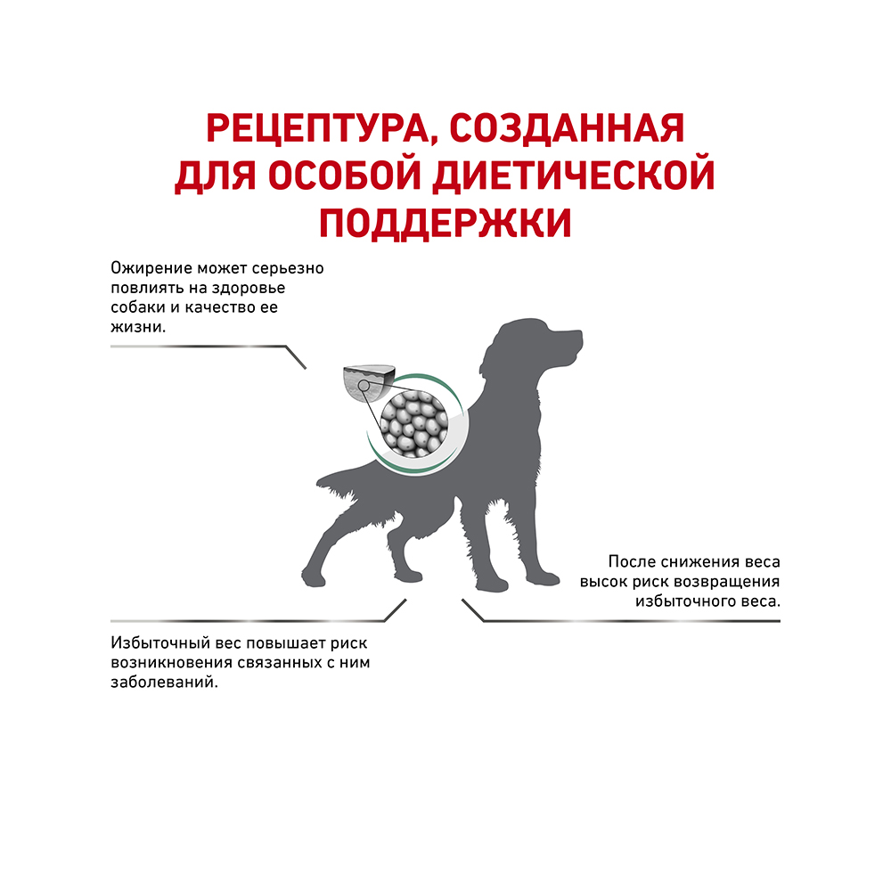 УТ0005720 Корм для собак Vet Diet Weight Management CAT30 при ожирении (стадия 1) сух. 12кг ROYAL CANIN  - Вид №2