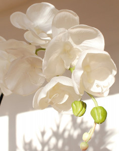 2407 700 a3 Искусственная орхидея Phalaenopsis, 114 см, real touch, чисто-белая H-andreas