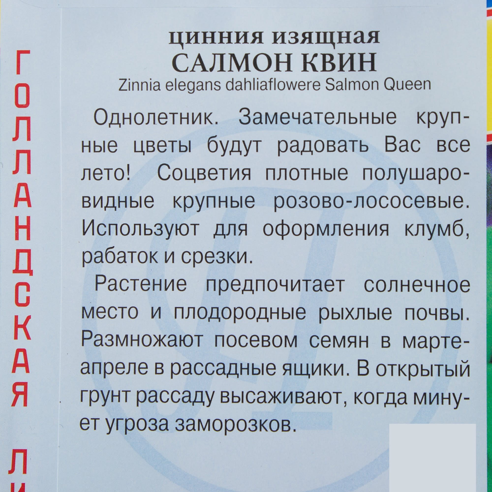 81931620 Цинния «Салмон Квин» Santreyd  - Вид №2