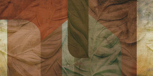 Обои с цифровой печатью