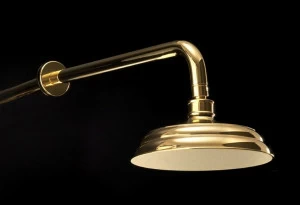 Devon&Devon Настенная лейка душа с держателем Swan Exc-sw140