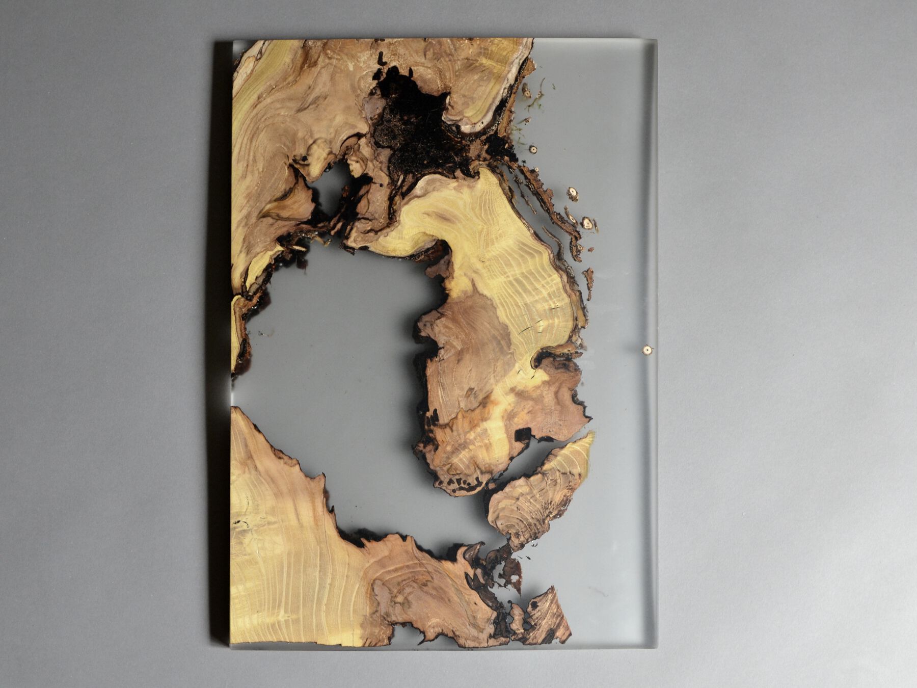 Рамка из массива дерева и смолы alcarol Undergrowth ARCH-00082208 - Вид №4