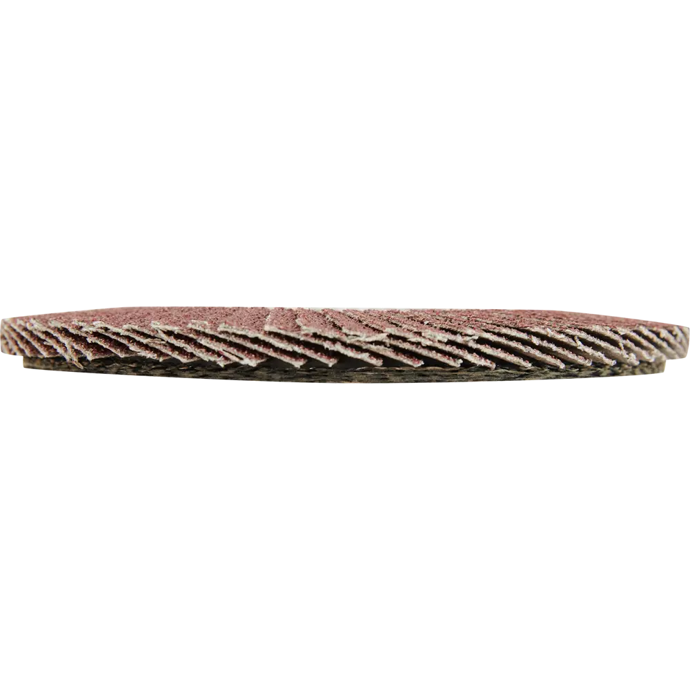 Лепестковый шлифовальный круг ВАЗ КЛТ1 Р60 125 мм для УШМ 85564579 Волжский абразивный завод STLM-0838687 - Вид №1