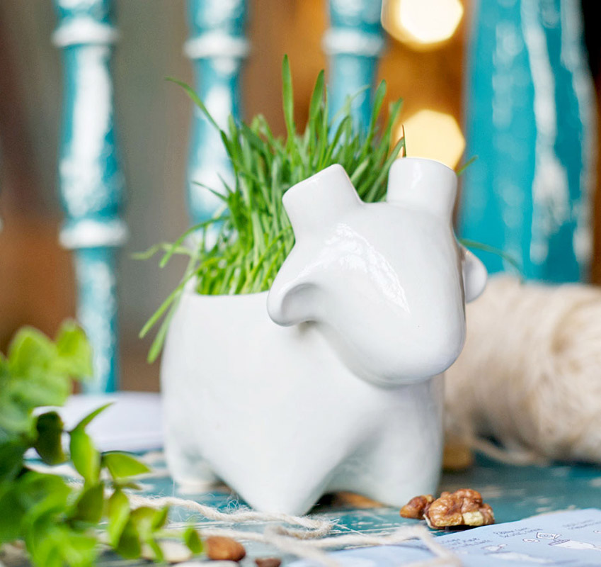 Набор для выращивания eco "Овечка" ЭКОЧЕЛОВЕКИ  254579 Белый  - Вид №1