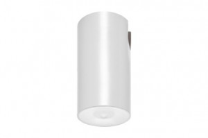 DST-65 Lens watertight ceiling-mounted Daisalux Светильники аварийные Белый