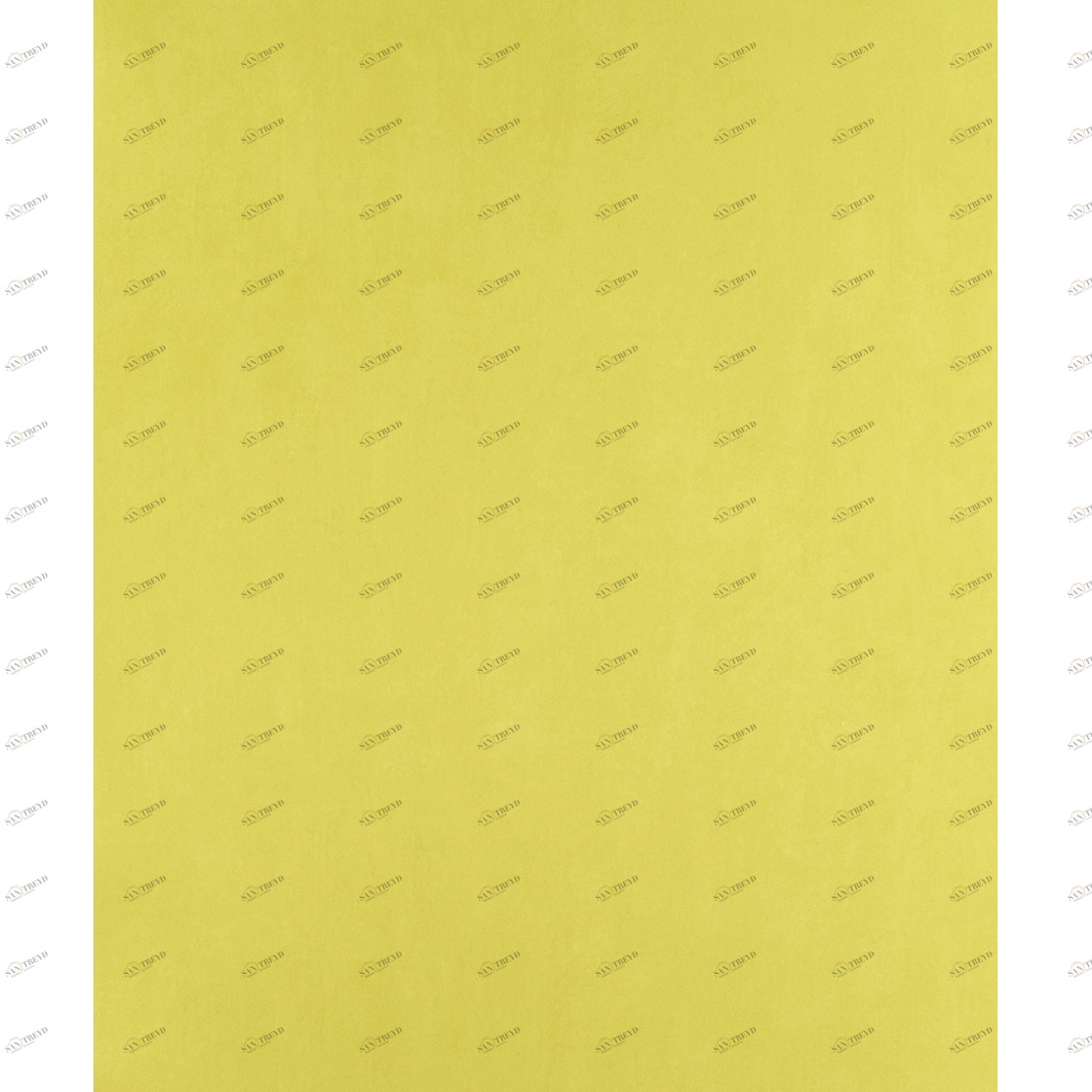 Рулон обоев ARC EN CIEL CFT12997201. Основа Casadeco