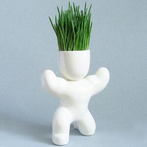 Набор для выращивания Eco Атлет