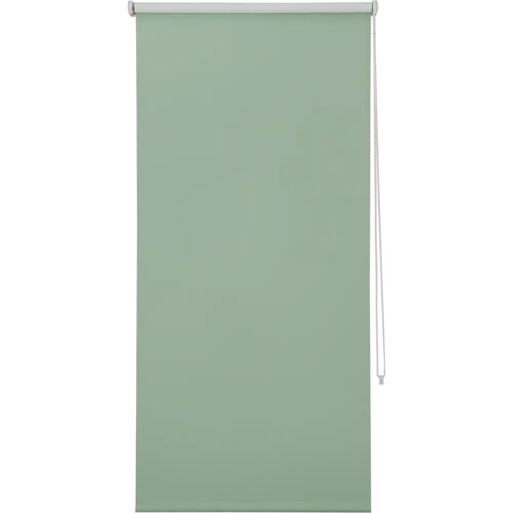 Штора рулонная Inspire блэкаут 60x160 см, цвет зелёный Нео-классика STLM-2000413