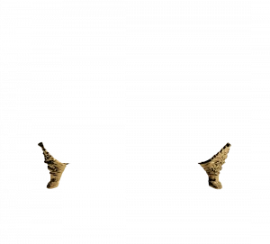 Gentry Home Bexley Cast iron bathtubs with feet Императорское темное золото GH102668