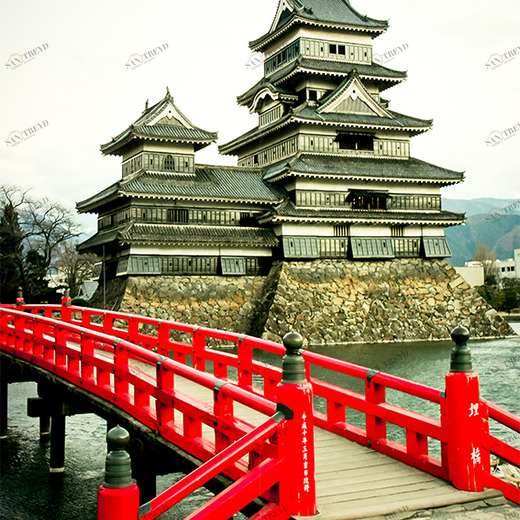 C1-257 Фотообои DIVINO Collection C 2.7х2 м C1257