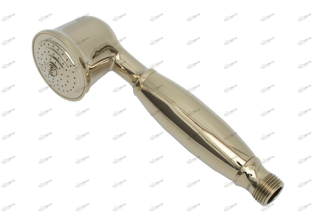 Душевая лейка Aquanet Classic ARB07-T 00202246