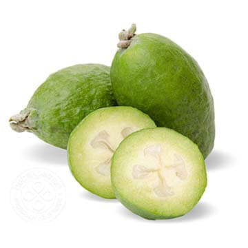 Фейхоа крупная Santreyd 26569 - Вид №1